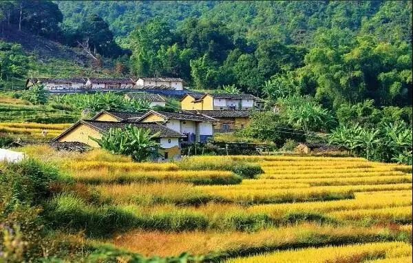 生成寺